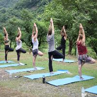 200 Hour Yoga Certification in Rishikesh at Rishikesh Yog Sansthan