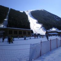 Venue