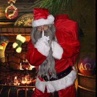 Farmer Christmas at Broadditch