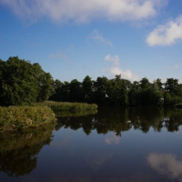 Het Twiske Recreational Area - Amsterdam - Upcoming Events & Tickets